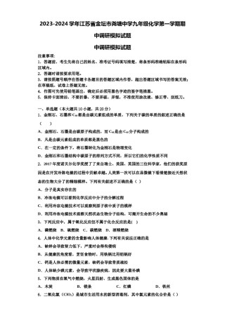 2023-2024学年江苏省金坛市尧塘中学九年级化学第一学期期中调研模拟试题含解析.doc