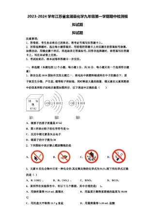 2023-2024学年江苏省金湖县化学九年级第一学期期中检测模拟试题含解析.doc