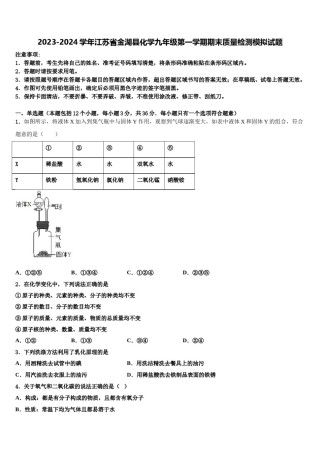 2023-2024学年江苏省金湖县化学九年级第一学期期末质量检测模拟试题含解析.doc