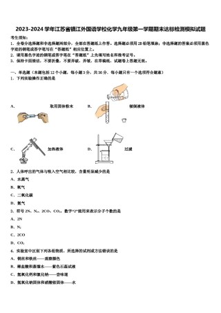 2023-2024学年江苏省镇江外国语学校化学九年级第一学期期末达标检测模拟试题含解析.doc