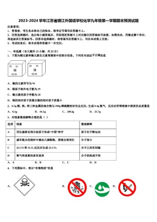 2023-2024学年江苏省镇江外国语学校化学九年级第一学期期末预测试题含解析.doc