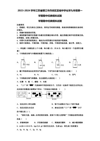 2023-2024学年江苏省镇江市丹徒区宜城中学化学九年级第一学期期中经典模拟试题含解析.doc