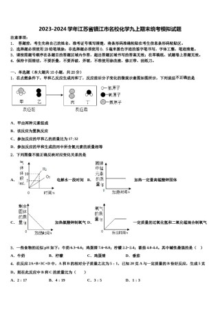 2023-2024学年江苏省镇江市名校化学九上期末统考模拟试题含解析.doc