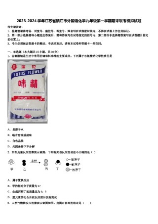 2023-2024学年江苏省镇江市外国语化学九年级第一学期期末联考模拟试题含解析.doc