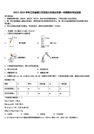2023-2024学年江苏省镇江市实验九年级化学第一学期期末考试试题含解析.doc
