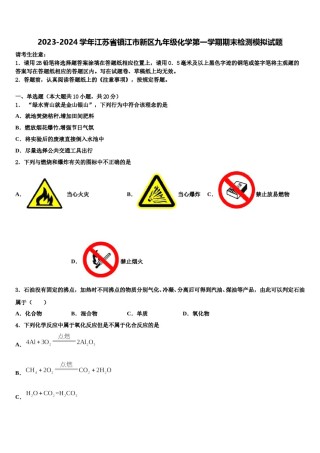 2023-2024学年江苏省镇江市新区九年级化学第一学期期末检测模拟试题含解析.doc