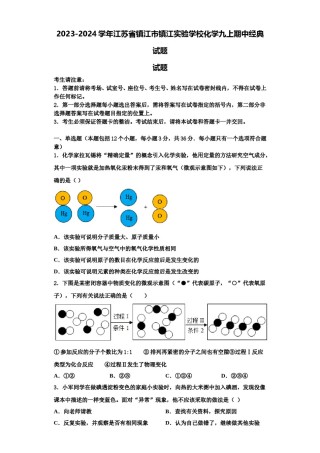 2023-2024学年江苏省镇江市镇江实验学校化学九上期中经典试题含解析.doc