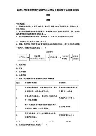 2023-2024学年江苏省阜宁县化学九上期中学业质量监测模拟试题含解析.doc