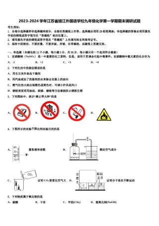 2023-2024学年江苏省靖江外国语学校九年级化学第一学期期末调研试题含解析.doc