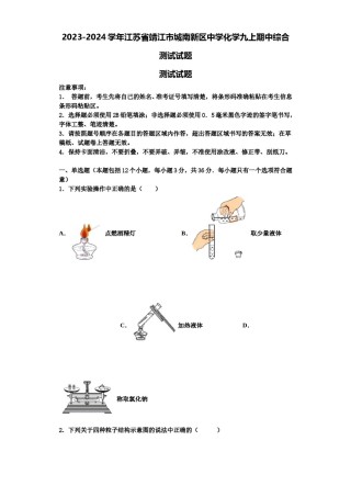2023-2024学年江苏省靖江市城南新区中学化学九上期中综合测试试题含解析.doc