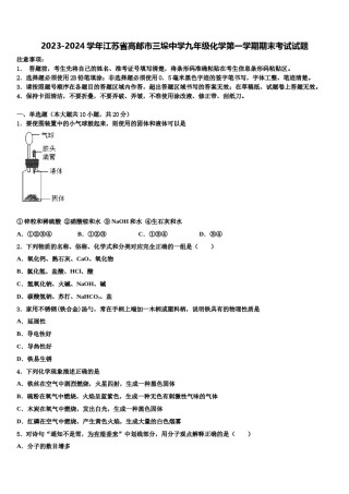 2023-2024学年江苏省高邮市三垛中学九年级化学第一学期期末考试试题含解析.doc