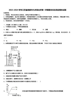 2023-2024学年江苏省高邮市九年级化学第一学期期末综合测试模拟试题含解析.doc