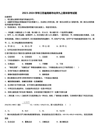 2023-2024学年江苏省高邮市化学九上期末联考试题含解析.doc