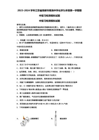 2023-2024学年江苏省高邮市南海中学化学九年级第一学期期中复习检测模拟试题含解析.doc