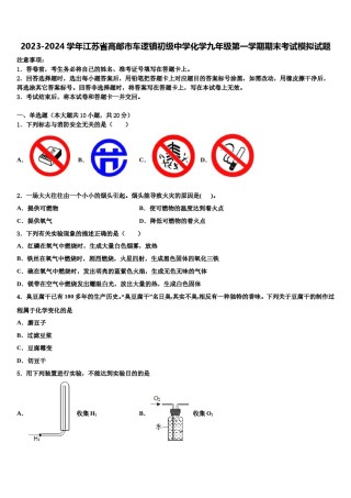 2023-2024学年江苏省高邮市车逻镇初级中学化学九年级第一学期期末考试模拟试题含解析.doc