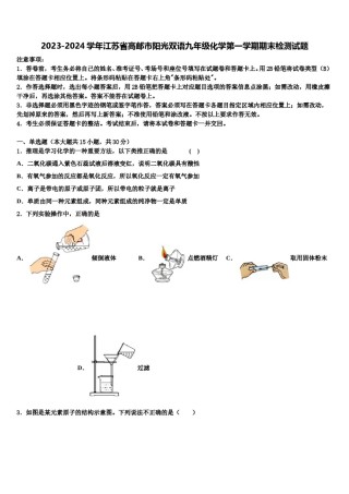 2023-2024学年江苏省高邮市阳光双语九年级化学第一学期期末检测试题含解析.doc