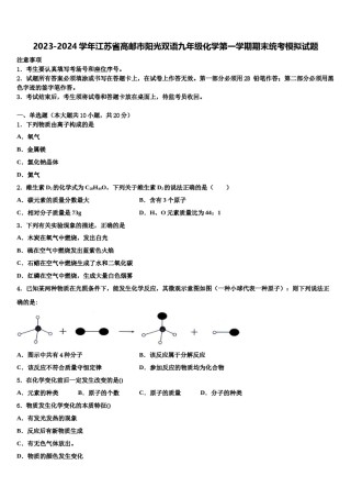 2023-2024学年江苏省高邮市阳光双语九年级化学第一学期期末统考模拟试题含解析.doc
