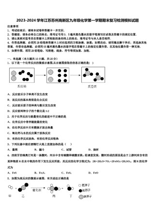 2023-2024学年江苏苏州高新区九年级化学第一学期期末复习检测模拟试题含解析.doc