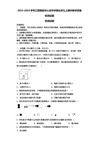 2023-2024学年江西南昌市心远中学度化学九上期中教学质量检测试题含解析.doc