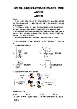 2023-2024学年江西省丰城市第九中学化学九年级第一学期期中调研试题含解析.doc