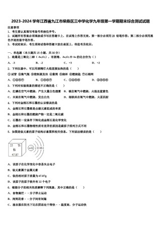 2023-2024学年江西省九江市柴桑区三中学化学九年级第一学期期末综合测试试题含解析.doc