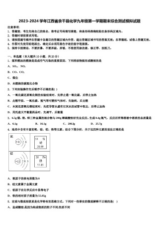 2023-2024学年江西省余干县化学九年级第一学期期末综合测试模拟试题含解析.doc