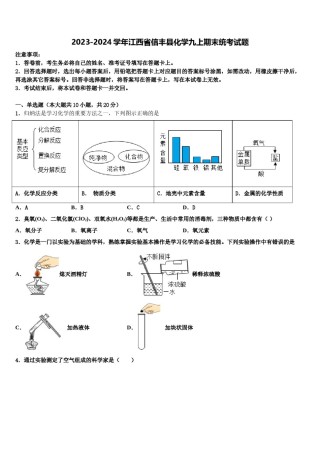 2023-2024学年江西省信丰县化学九上期末统考试题含解析.doc