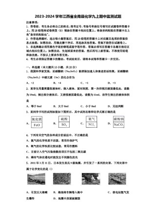 2023-2024学年江西省全南县化学九上期中监测试题含解析.doc