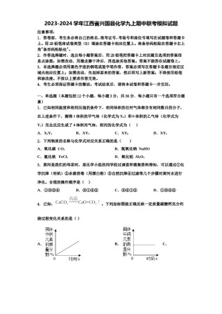 2023-2024学年江西省兴国县化学九上期中联考模拟试题含解析.doc