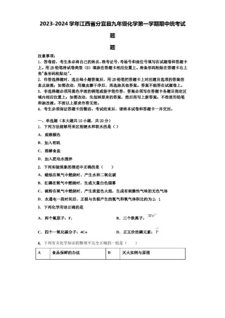 2023-2024学年江西省分宜县九年级化学第一学期期中统考试题含解析.doc
