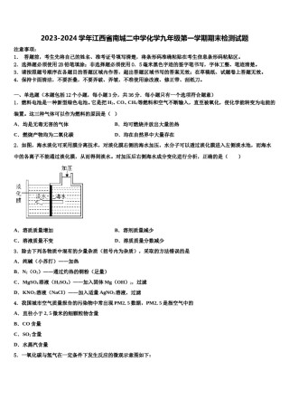 2023-2024学年江西省南城二中学化学九年级第一学期期末检测试题含解析.doc