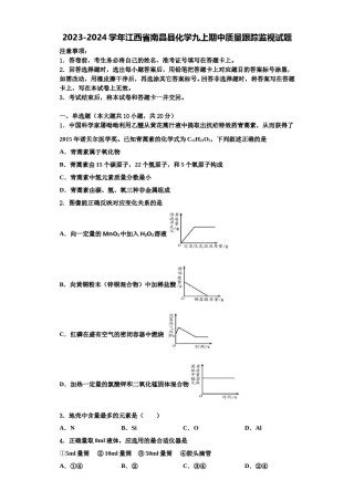 2023-2024学年江西省南昌县化学九上期中质量跟踪监视试题含解析.doc