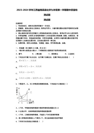 2023-2024学年江西省南昌县化学九年级第一学期期中质量检测试题含解析.doc