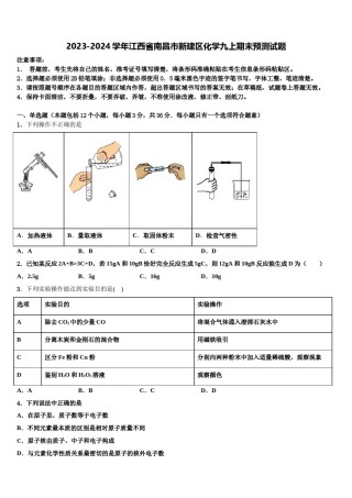 2023-2024学年江西省南昌市新建区化学九上期末预测试题含解析.doc
