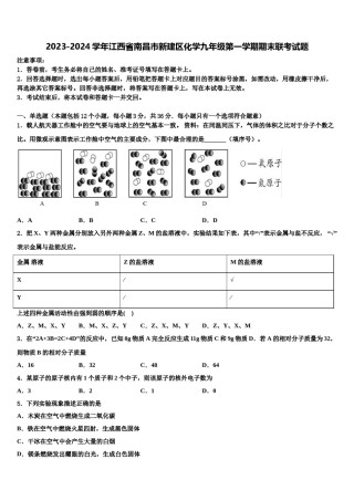 2023-2024学年江西省南昌市新建区化学九年级第一学期期末联考试题含解析.doc