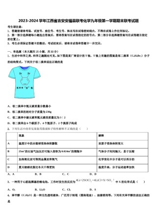2023-2024学年江西省吉安安福县联考化学九年级第一学期期末联考试题含解析.doc