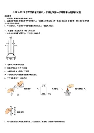 2023-2024学年江西省吉安市九年级化学第一学期期末检测模拟试题含解析.doc