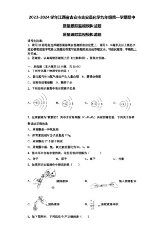 2023-2024学年江西省吉安市吉安县化学九年级第一学期期中质量跟踪监视模拟试题含解析.doc