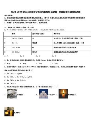2023-2024学年江西省吉安市名校九年级化学第一学期期末经典模拟试题含解析.doc