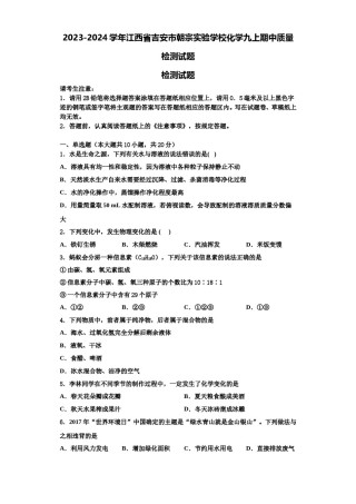 2023-2024学年江西省吉安市朝宗实验学校化学九上期中质量检测试题含解析.doc