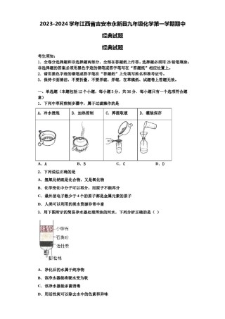 2023-2024学年江西省吉安市永新县九年级化学第一学期期中经典试题含解析.doc