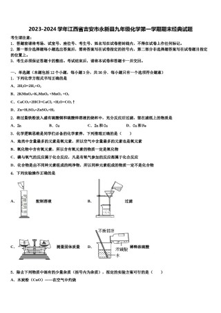 2023-2024学年江西省吉安市永新县九年级化学第一学期期末经典试题含解析.doc