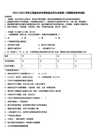 2023-2024学年江西省吉安市泰和县化学九年级第一学期期末联考试题含解析.doc