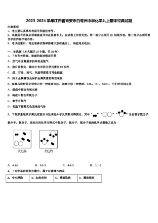 2023-2024学年江西省吉安市白鹭洲中学化学九上期末经典试题含解析.doc