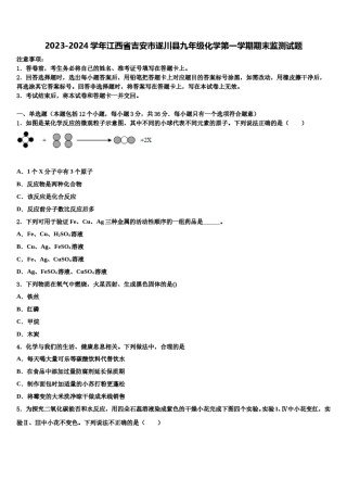 2023-2024学年江西省吉安市遂川县九年级化学第一学期期末监测试题含解析.doc
