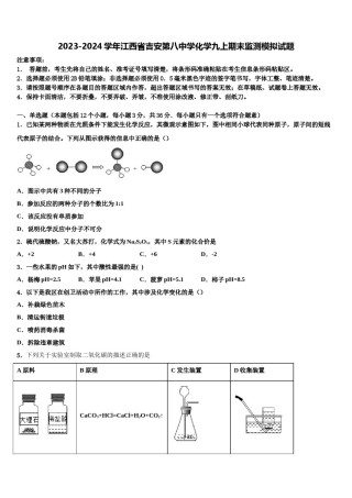2023-2024学年江西省吉安第八中学化学九上期末监测模拟试题含解析.doc