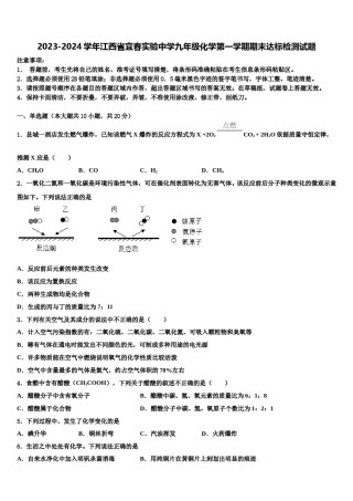2023-2024学年江西省宜春实验中学九年级化学第一学期期末达标检测试题含解析.doc