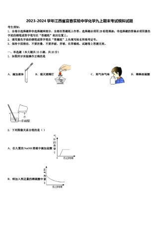 2023-2024学年江西省宜春实验中学化学九上期末考试模拟试题含解析.doc