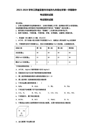 2023-2024学年江西省宜春市丰城市九年级化学第一学期期中考试模拟试题含解析.doc