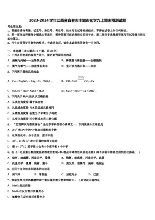 2023-2024学年江西省宜春市丰城市化学九上期末预测试题含解析.doc